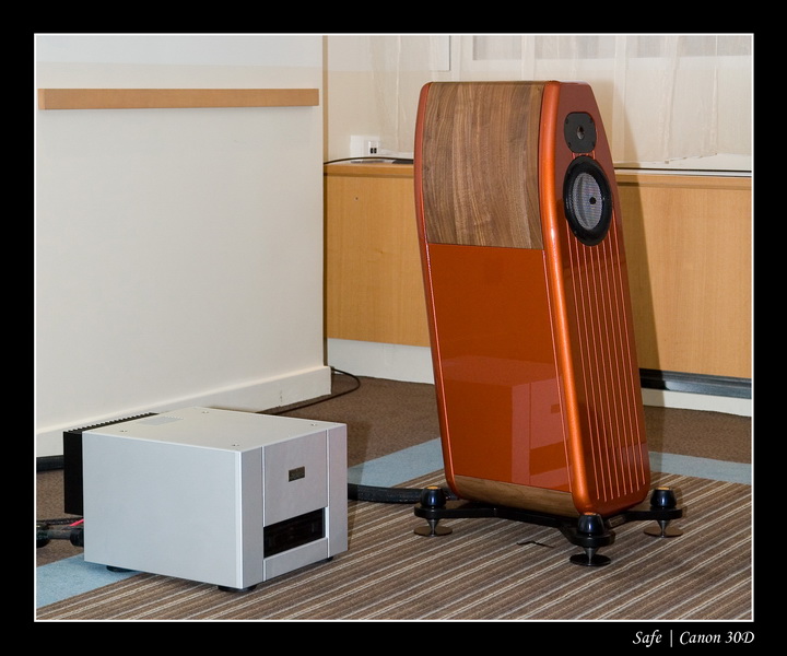 2007 - 03 - Salon hifi sofitel - 096